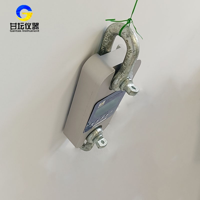 50噸電子測力儀在大型橋梁懸索拉力測試中的應用